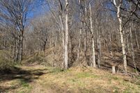 Property for sale in Smyth County, Virginia
