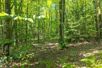 Property for sale in Otsego County, New York