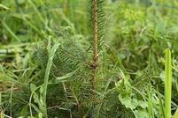 Property for sale in Rensselaer County, New York