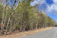 Undeveloped Land for sale in Greene County, New York