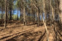 Undeveloped Land for sale in Marion County, Tennessee