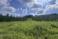 Undeveloped Land for sale in Monroe County, Tennessee