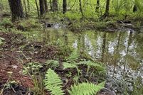 Property for sale in Sequatchie County, Tennessee