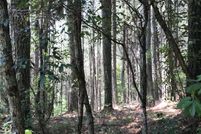 Property for sale in Polk County, Tennessee