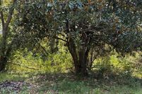 Property for sale in Bamberg County, South Carolina