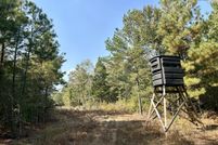 Property for sale in Lowndes County, Mississippi