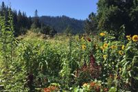 Undeveloped Land for sale in Douglas County, Oregon