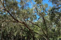 Property for sale in Citrus County, Florida