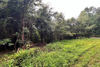 Undeveloped Land for sale in Meigs County, Tennessee