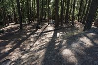 Undeveloped Land for sale in Plumas County, California