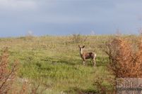 Property for sale in Yellowstone County, Montana