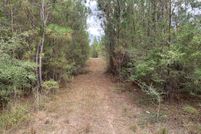 Property for sale in Greene County, Mississippi