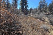 Property for sale in Archuleta County, Colorado