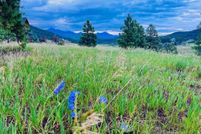 Property for sale in Archuleta County, Colorado