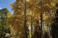 Property for sale in Dolores County, Colorado