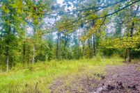 Undeveloped Land for sale in Lafayette County, Mississippi