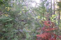 Property for sale in Alpena County, Michigan