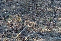 Property for sale in Ozark County, Missouri