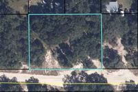 Undeveloped Land for sale in Clay County, Florida