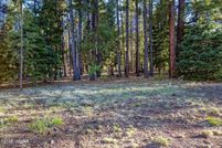 Property for sale in Apache County, Arizona