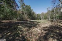 Undeveloped Land for sale in Forsyth County, Georgia