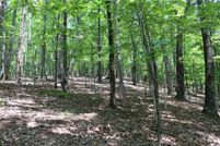 Property for sale in Pickens County, Georgia