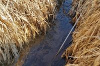 Undeveloped Land for sale in Grant County, Wisconsin