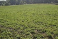 Property for sale in Lenawee County, Michigan