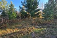 Undeveloped Land for sale in Morrison County, Minnesota