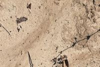 Property for sale in Jack County, Texas