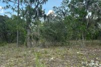 Undeveloped Land for sale in Citrus County, Florida