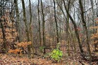 Property for sale in Meigs County, Tennessee