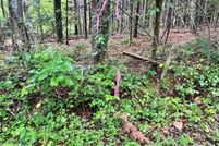 Property for sale in Meigs County, Tennessee