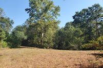 Property for sale in Pike County, Alabama