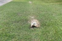 Property for sale in Freestone County, Texas