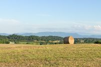 Property for sale in Hamblen County, Tennessee