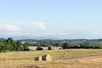 Property for sale in Hamblen County, Tennessee