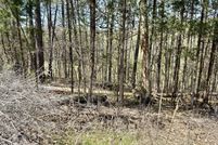 Undeveloped Land for sale in Claiborne County, Tennessee