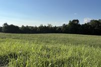 Property for sale in Pickett County, Tennessee