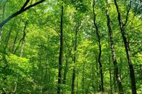 Property for sale in Claiborne County, Tennessee