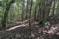 Undeveloped Land for sale in Cocke County, Tennessee