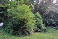 Undeveloped Land for sale in Blount County, Tennessee