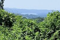 Undeveloped Land for sale in Roane County, Tennessee