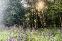 Property for sale in Anderson County, Tennessee