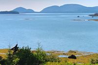 Property for sale in Hancock County, Maine