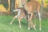 Undeveloped Land for sale in Pike County, Pennsylvania