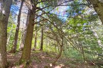 Property for sale in Chippewa County, Michigan