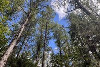 Property for sale in Dallas County, Alabama