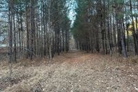 Property for sale in Chatham County, North Carolina