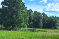 Undeveloped Land for sale in Johnston County, North Carolina